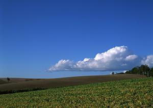 静岡県浜松市に新たにオープンした家族葬専門の斎場「家族葬のタクセル住吉」の特徴とサービス内容
