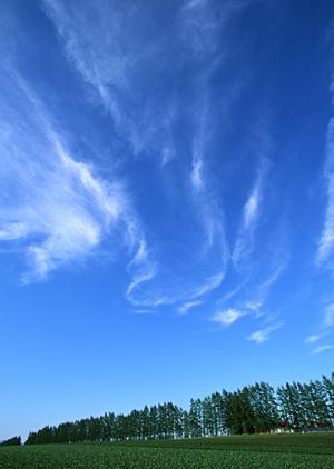 静岡県で選ばれる葬儀・家族葬・火葬サービスの特徴と料金プラン｜信頼の葬儀場一覧とアクセス情報