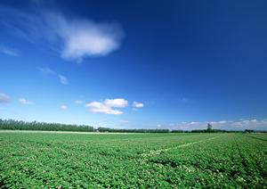 【2023年最新版】静岡県富士宮市の家族葬に最適な葬儀場＆サービスのご案内