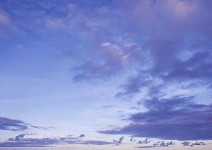 小平市で納得の葬儀を実現するための完全ガイド【2025年最新版】